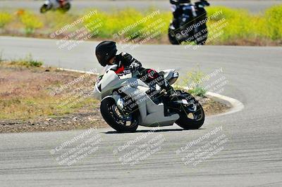 media/May-10-2024-2WTD (Fri) [[c88d7990af]]/Group C/Session 3-Turn 4 and 6/